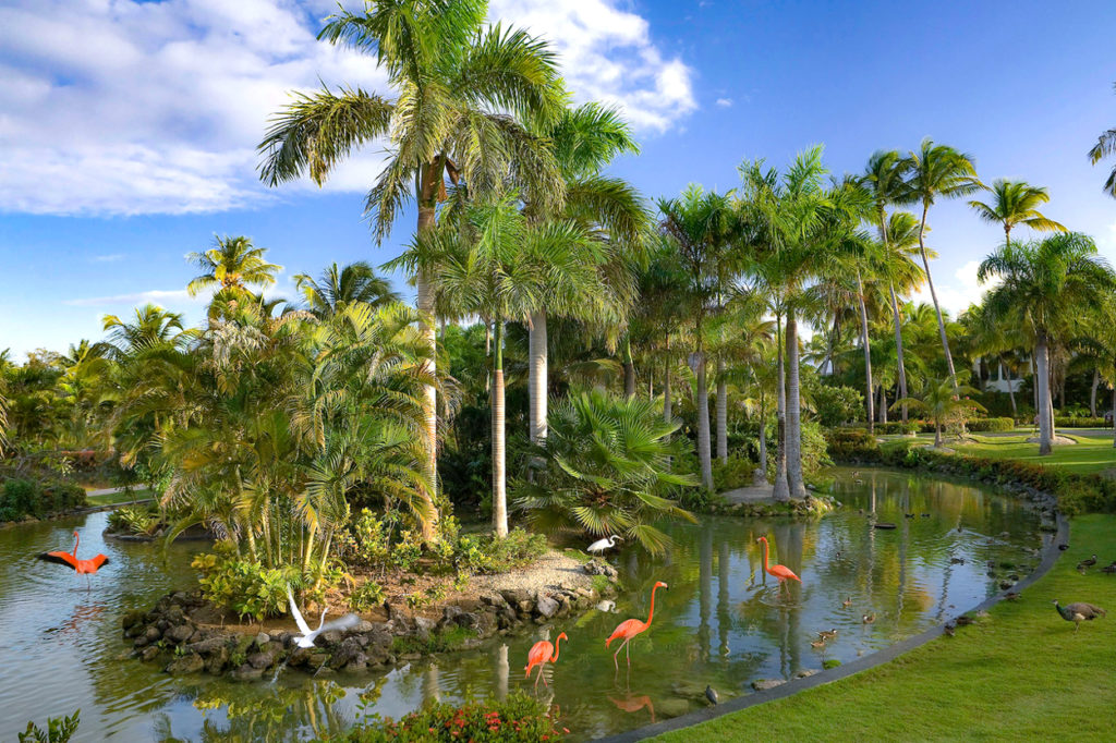 Melia Punta Cana Beach