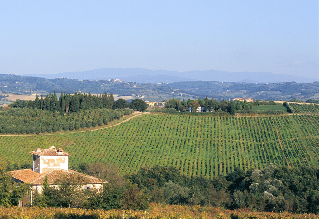 Frescobaldi Vineyards