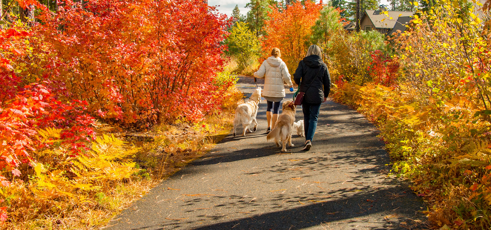 Where to See Fall Foliage Changing Colors Right Now Paradise