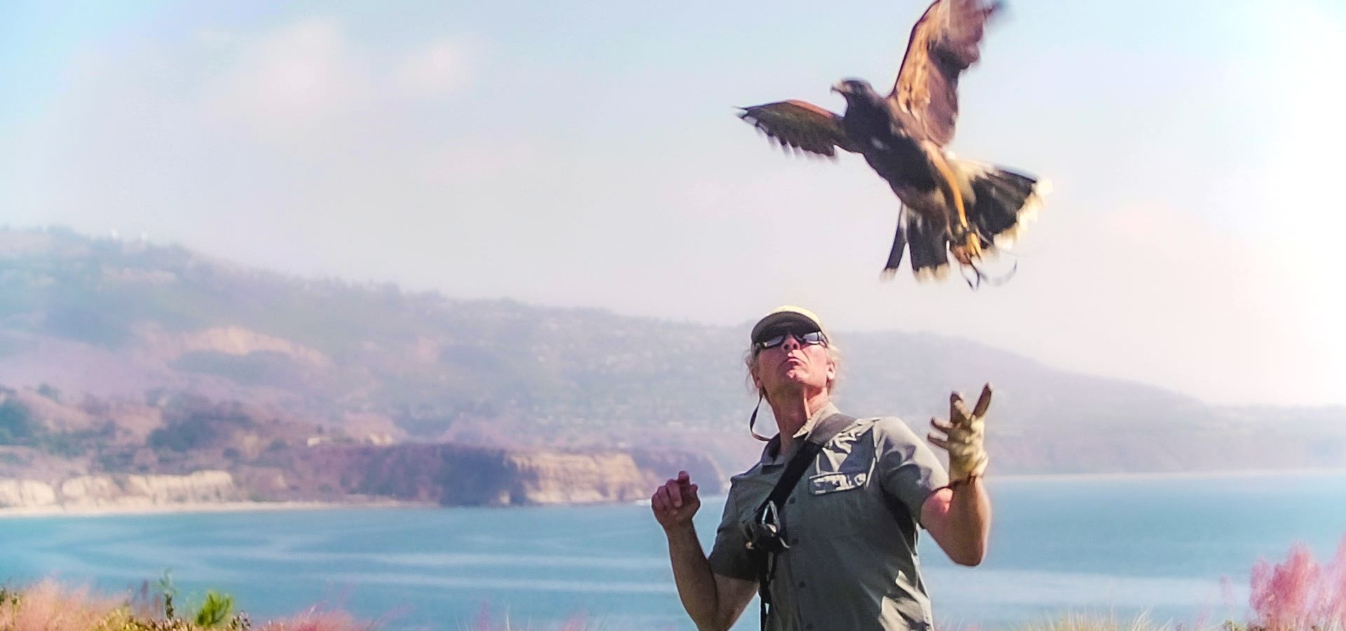 Out of Office: A Day in the Life of Joe Roy III, Falconer at Terranea ...