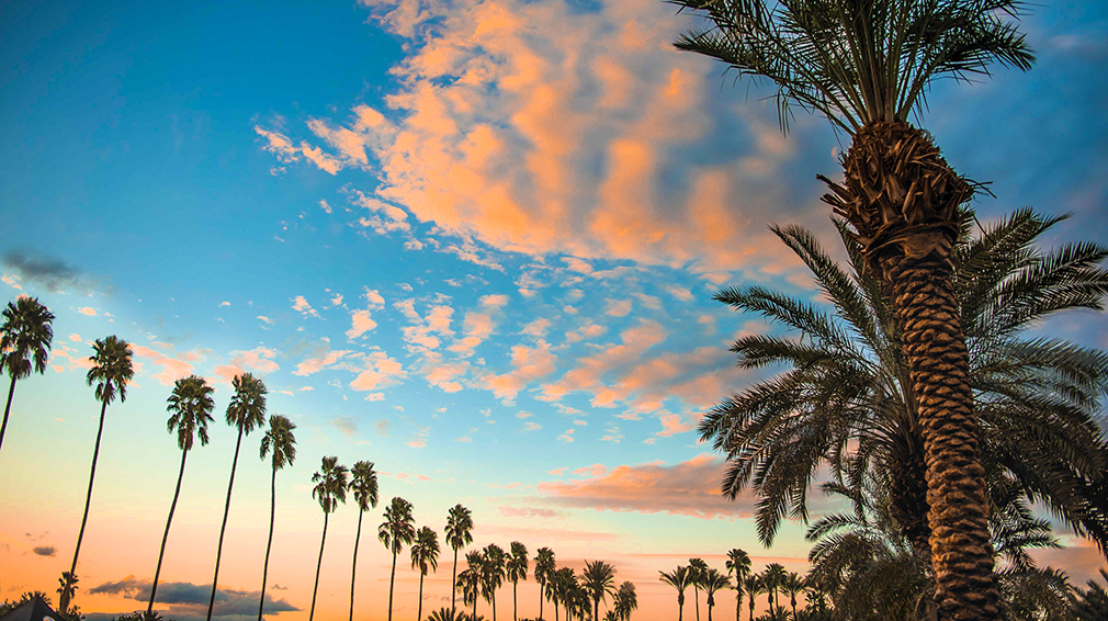 Scenic Palm Springs View