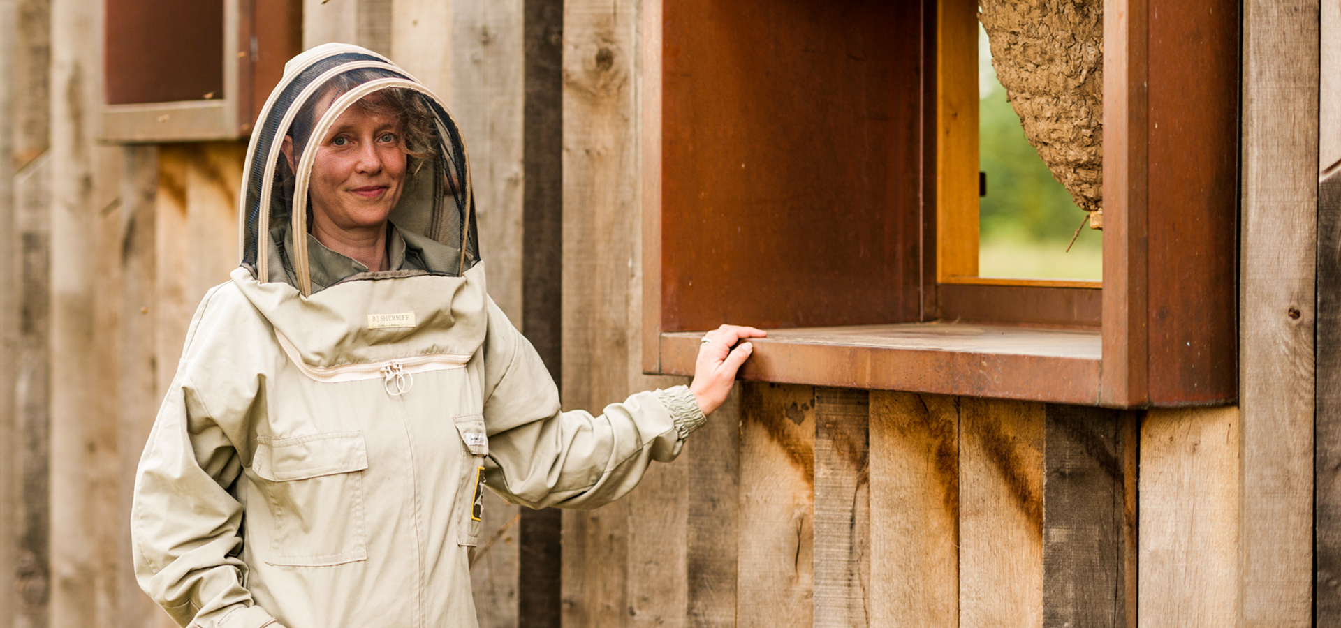 out-of-office-a-day-in-the-life-of-a-uk-beekeeper-paradise