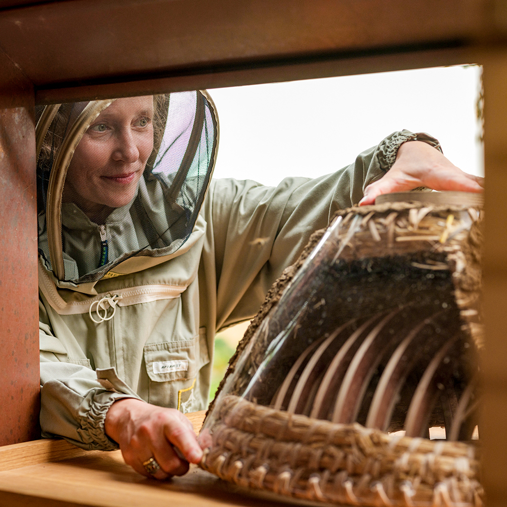 Head Beekeeper Paula Carnell with Bees