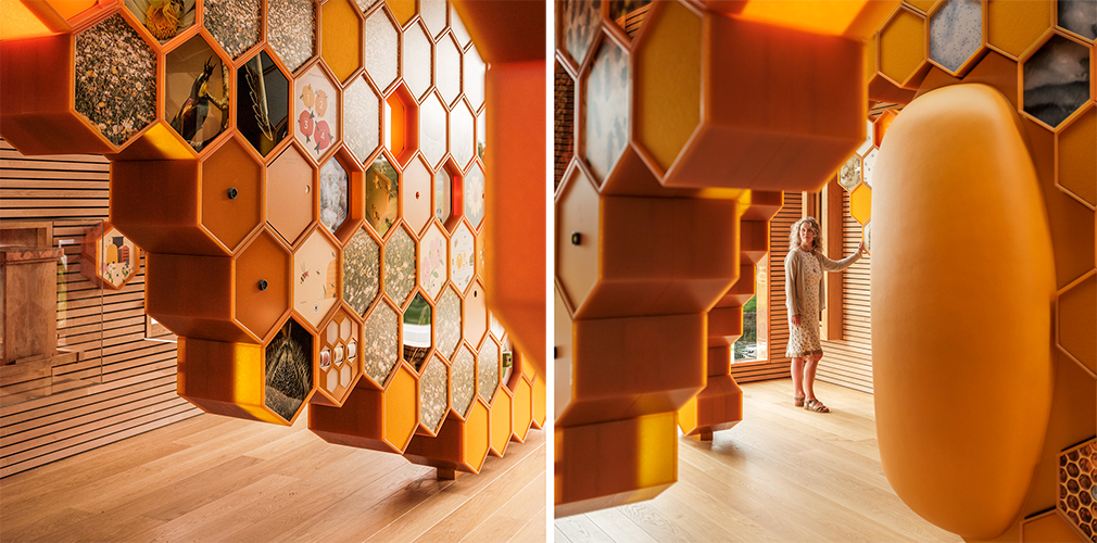 Honeycomb Walls