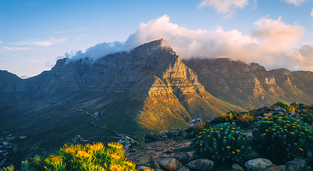 Lions Head Cape Town, Black Tomato